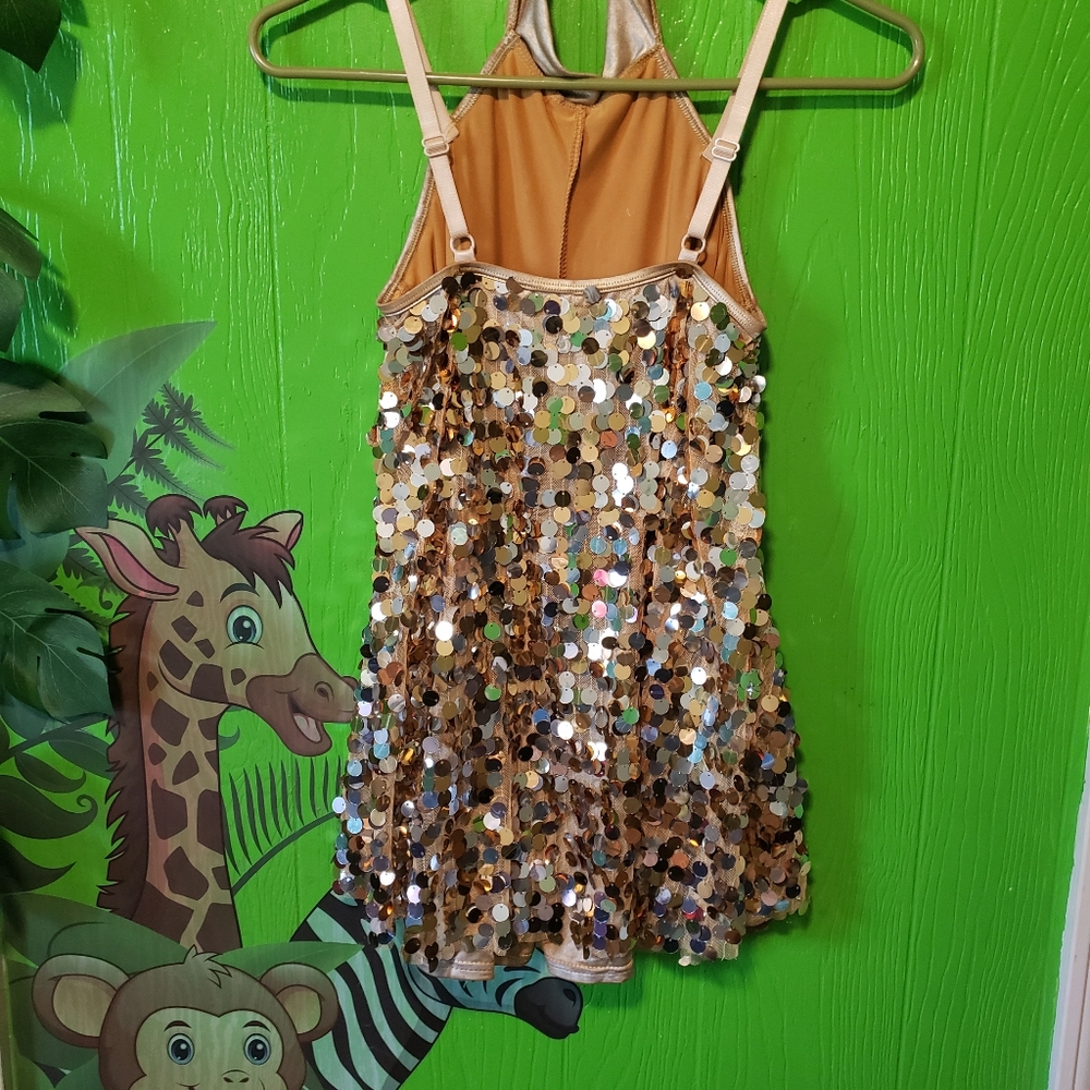 Recital dress costume